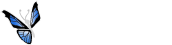 BUTTERFLY COMMUNICATION Narbonne, création de sites internet 